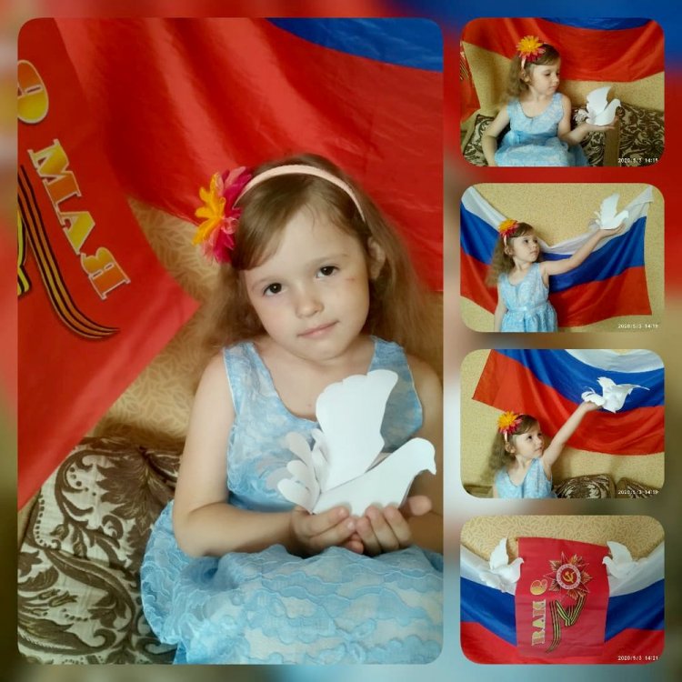 1588596443_goluby_mira_1